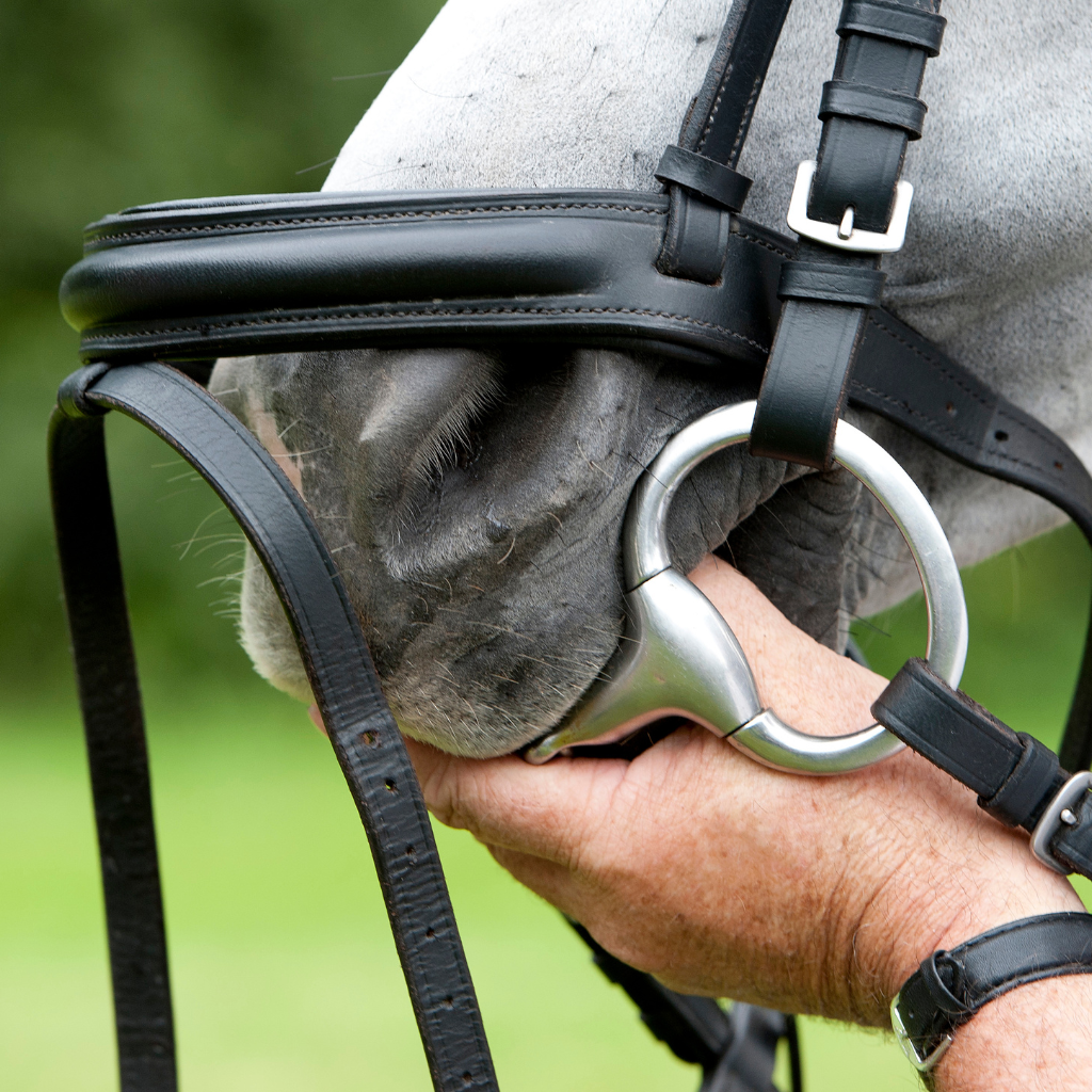 Bits & Bridles